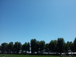 �z���g�����I