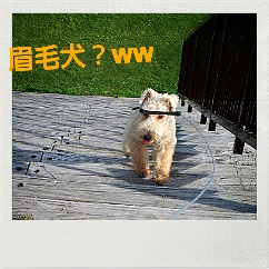 �܂䂰�c(^-^;