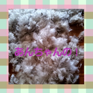 �T�}�[�J�b�g