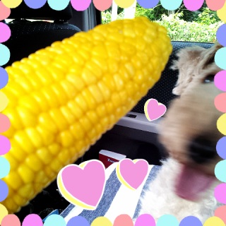 �h���C�u��