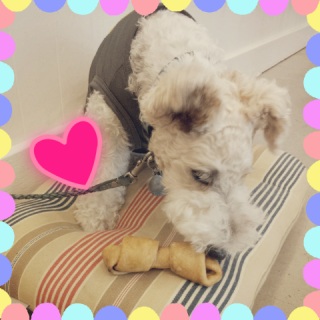�Ԃɂ͓��������