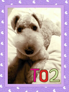T02