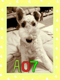 A07