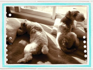 ���͂�(*^^*)