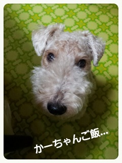 �Ԃ�