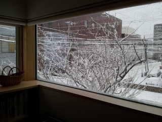 �~�i�F