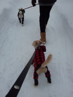 ����y�����I