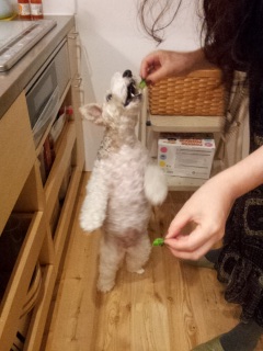 �C������[����