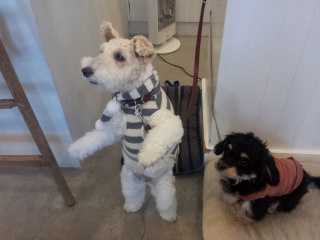 �����p�����H��