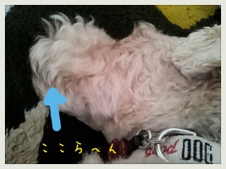 �Ԃ�
