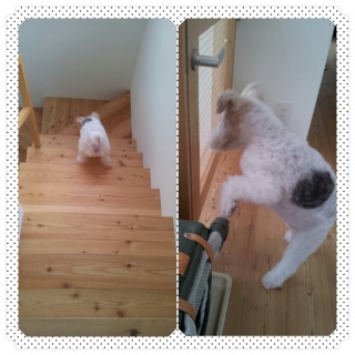 �s�����Ă������Ⴂ��!!