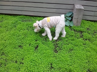 �r