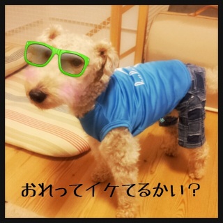 �p�b�`���[�N�����f�j����