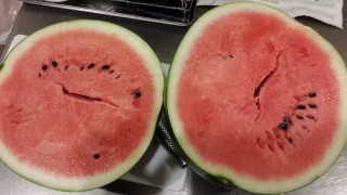 �n�����C������}����