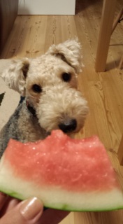���Z�Ƃ���