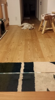 �킩���Ă鏗