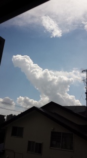 �������ȉ_