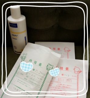 �V�����v�[�ǉ�(*_*)