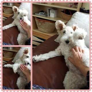 �S!!