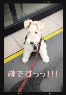 荞݁[k
