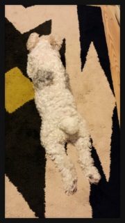 Ȃ