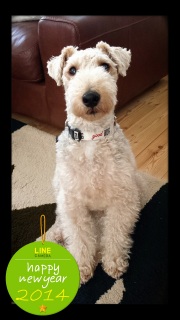 good dog!!