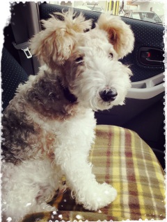 drive